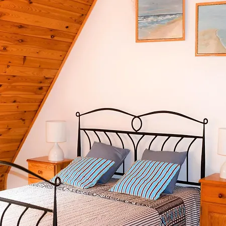 Large With Private Garden Vakantiehuis Kopalino